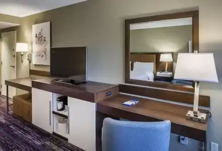 Hampton Inn San Diego-Kearny Mesa - 51