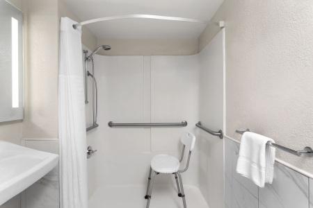 Days Inn by Wyndham Orlando Conv. Center/International Dr - 21