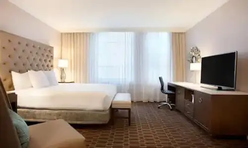 Hilton New Orleans/St. Charles Avenue - 88