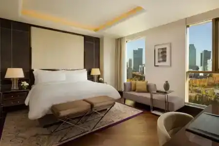 The Ritz-Carlton - 51