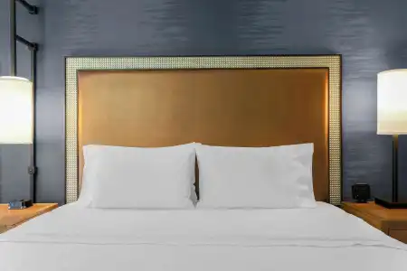 Hampton Inn & Suites Austin Downtown - 49