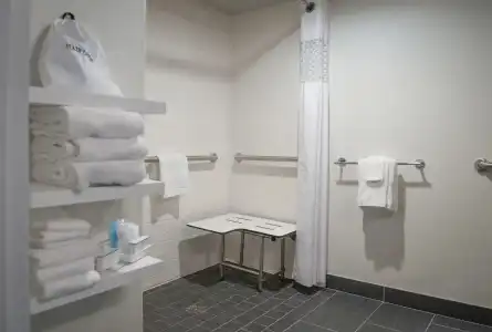 Hampton Inn New Orleans-St. Charles Ave./Garden District - 63