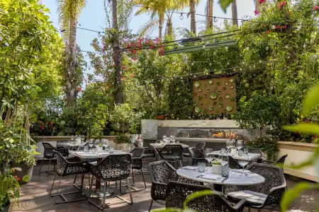 Four Seasons Los Angeles at Beverly Hills - 22