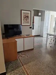 Savoia - 181