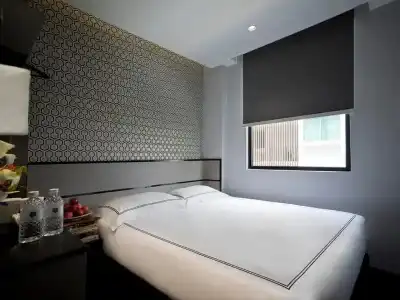 Venue - The Lily - 29