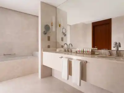 Swissôtel Wellness Resort Alatau - 82