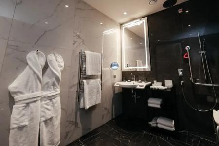 Cosmos Selection Saint-Petersburg Italyanskaya - 140