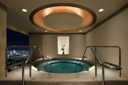 The Ritz-Carlton, Tokyo - 21