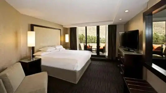 Hyatt Palm Springs - 21