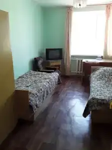 Gostinitsa Birsk - 117