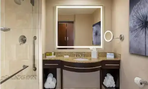 Hilton Americas - - 71