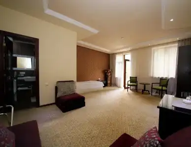 Borjomi Palace Health & Spa Center - 63