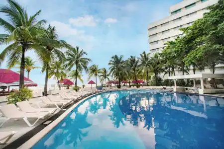 Oasis Palm - 20