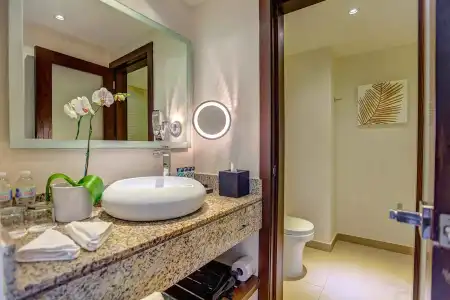 Royalton Punta Cana, An Autograph Collection All-Inclusive Resort & Casino - 36