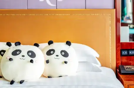 Minyoun Chengdu Dongda - 66