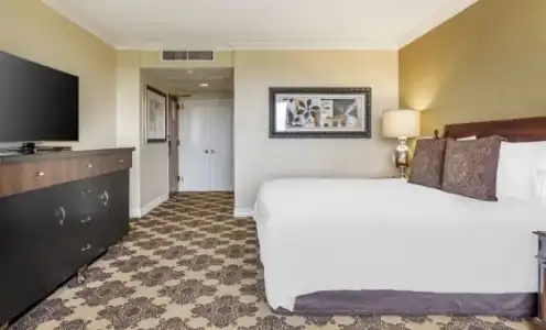 Omni Houston - 66