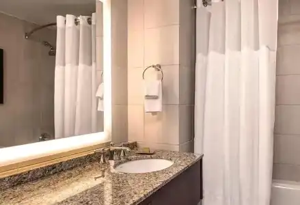 Hilton Anatole - 81