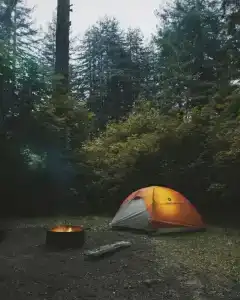 Zagorodnayy Klub Lesnaya Skazka - 135