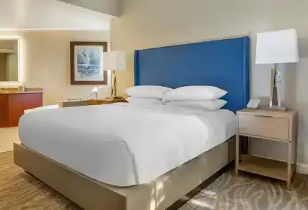Hilton Grand Vacations Club SeaWorld® - 67