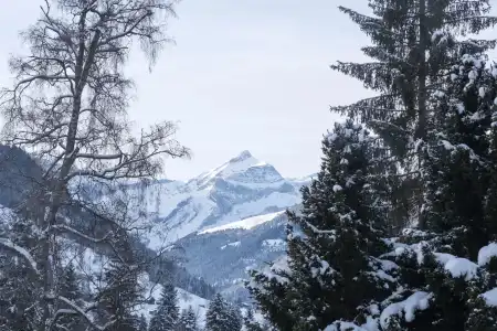 Gstaad Palace - 21