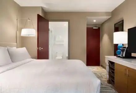 Hilton Garden Inn New York Times Square South - 25