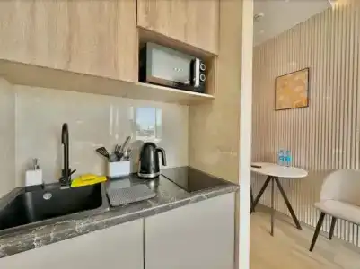 Travelto Petrovskiy Park - 89