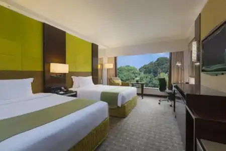 Holiday Inn Singapore Orchard City Centre by IHG - 4