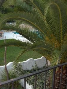 Galena Mas Comangau - 73