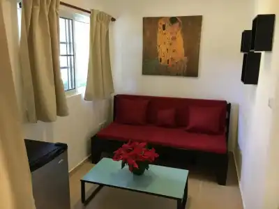 Coral Blanco - 6