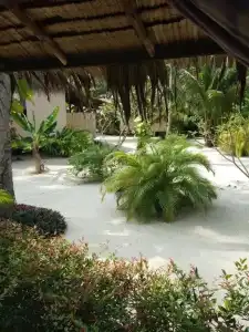 Angkana Bungalows Adults Only - 23