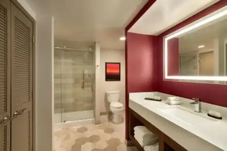Embassy Suites by Hilton Phoenix Downtown North - 67
