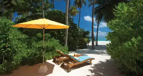 Atmosphere Kanifushi - All Inclusive with Free Transfers - 42