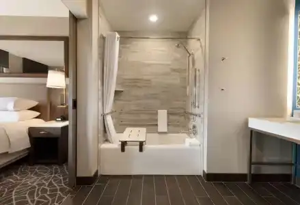 Embassy Suites by Hilton Minneapolis Downtown - 46