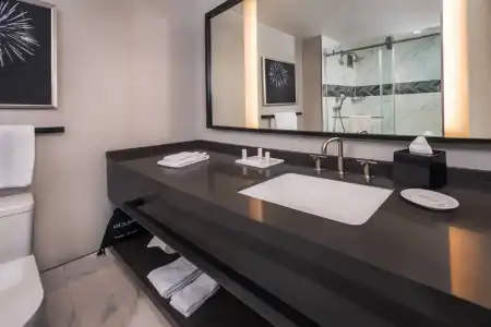 Courtyard by Marriott Arlington Crystal City/Reagan National - 7