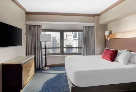 The Hilton Club - New York - 33