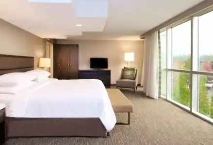 Embassy Suites by Hilton Seattle Bellevue - 40