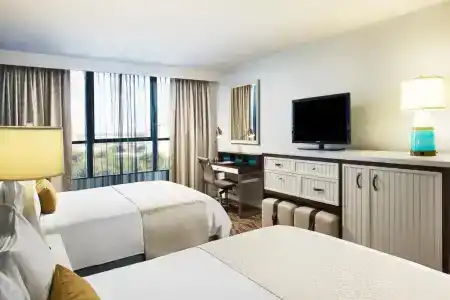 Wyndham Garden Lake Buena Vista – Disney Springs® Area - 104