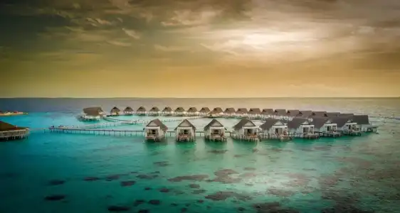 Centara Collection Machchafushi Island Resort & Spa Maldives - 36