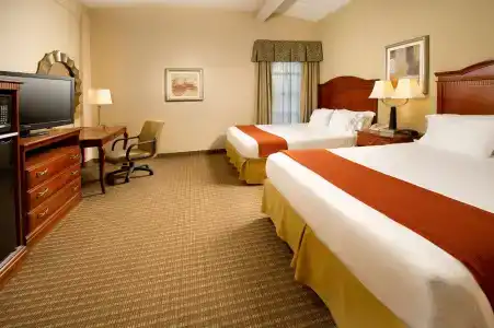 Holiday Inn Express SAN ANTONIO N-RIVERWALK AREA by IHG - 54