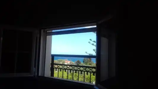 Contessa - 296