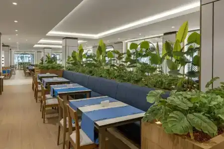 Marvida Family Eco - Ultra All Inclusive & Kids Concept - 16