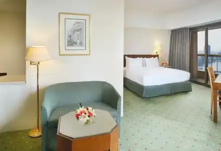Ramses Hilton - 53