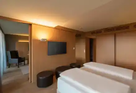 DoubleTree by Hilton Vienna Schonbrunn - 74
