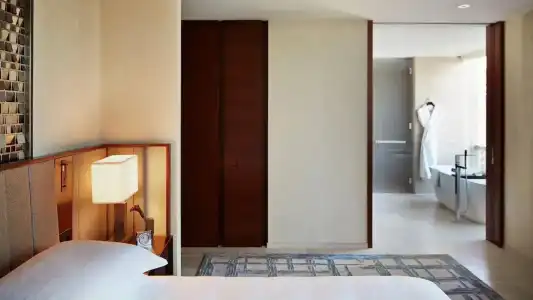 Park Hyatt New York - 57