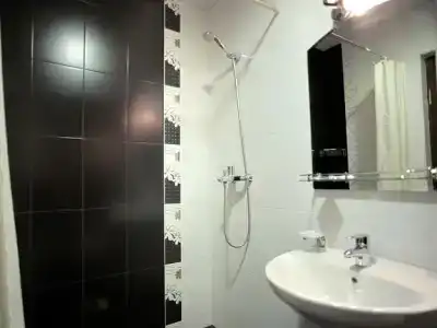 Бристоль - 60