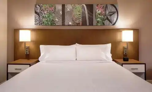 Hilton Garden Inn Downtown Dallas - 52