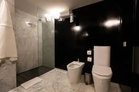 Anselmo Buenos Aires Curio Collection By Hilton - 61
