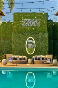 Ziggy on Sunset - 25