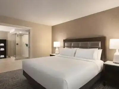 Hilton Tampa Downtown - 80
