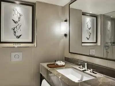 Hyatt Regency London The Churchill - 67